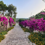 Photo n°2 de l'avis de Michele.e fait le 25/06/2022 à 10:23 sur le  Masseria Fontanelle à Torre San Giovanni