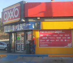 OXXO magnolias photo