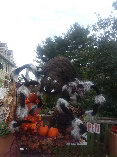 Florist «Monroe Florist & Greenhouses», reviews and photos, 14 Talmadge, Monroe, NY 10950, USA