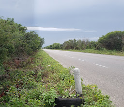 Glorieta Colibrí photo