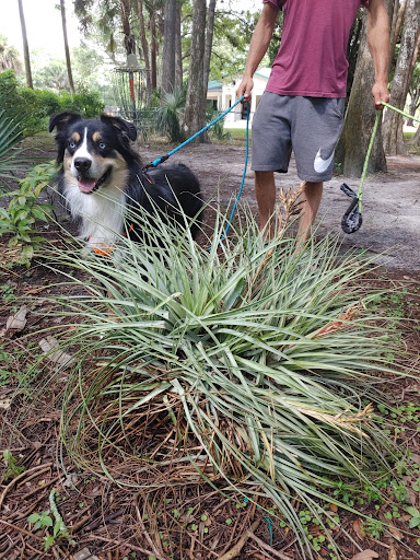 Park «Easterlin Park», reviews and photos, 1000 NW 38th St, Oakland Park, FL 33309, USA