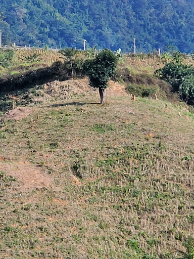 Top 16 cửa hàng chỉ coats Huyện Mường Tè Lai Châu 2022