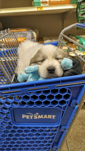 Pet Supply Store «PetSmart», reviews and photos, 916 Loganville Hwy, Bethlehem, GA 30620, USA