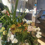 Photo n°6 de l'avis de Virna.a fait le 04/04/2024 à 10:56 sur le  Hotel Sempione à Milan