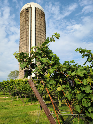 Winery «Doukenie Winery», reviews and photos, 14727 Mountain Rd, Purcellville, VA 20132, USA