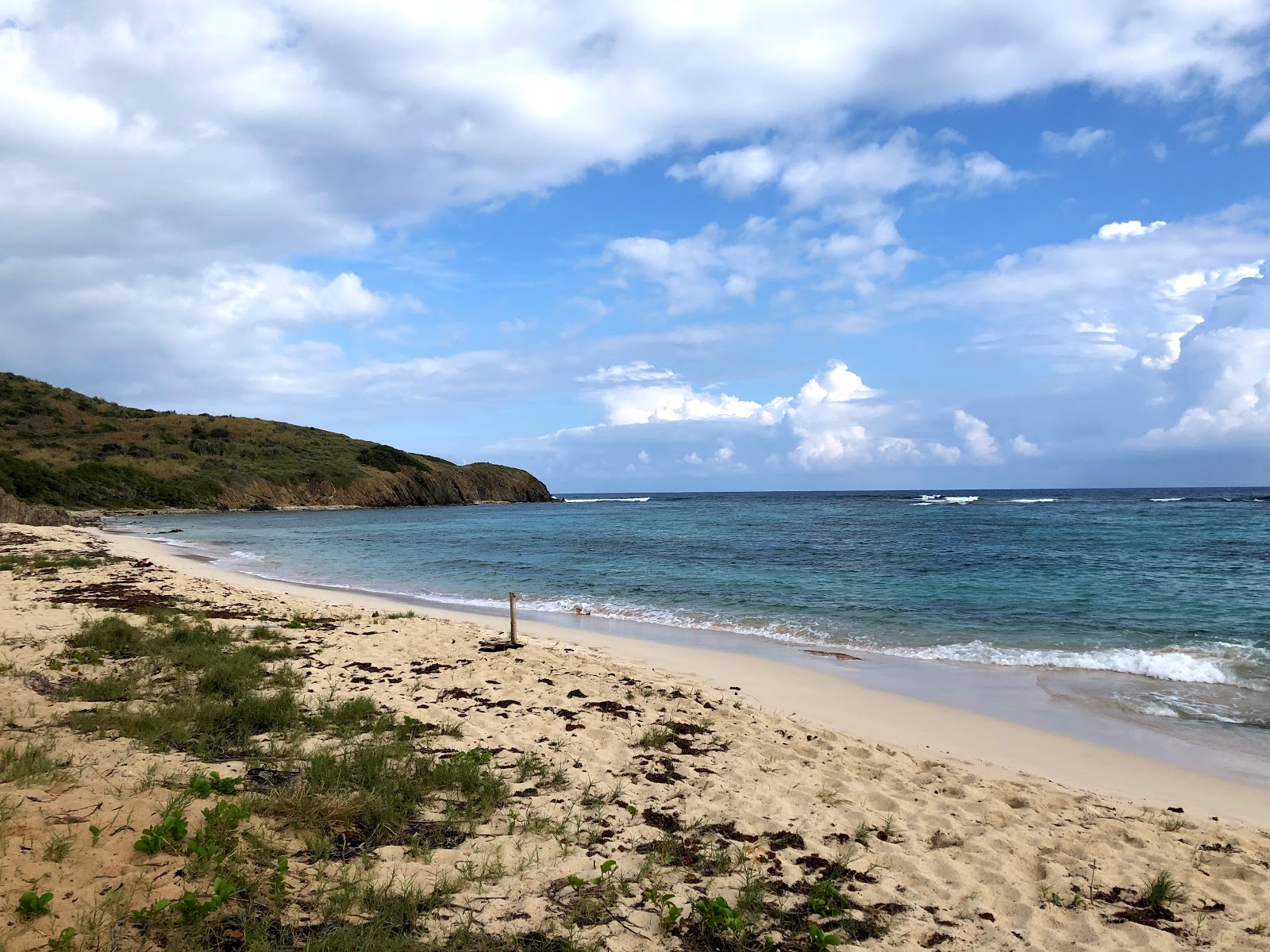 Foto de Isaacs Bay beach con agua cristalina superficie