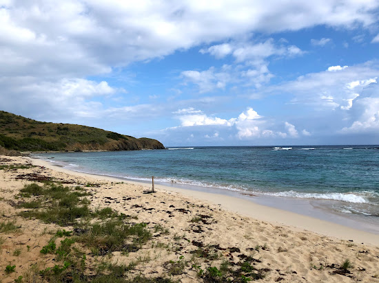 Isaacs Bay beach