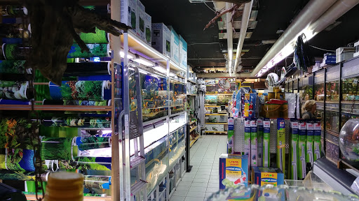 Marine-Aquarium-Senior unter Berlin, 