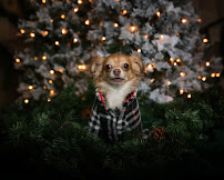 Rocheny Photography - Photo 9 - Car repair in , Staten Island