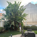 Photo n°2 de l'avis de Anabelle.z fait le 20/09/2021 à 10:51 sur le  Veneza Hotel à Aveiro