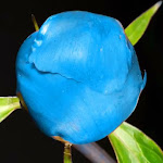 Photo n°1 de l'avis de Akanaway.o fait le 14/02/2024 à 14:23 sur le  Birreria Music Pub La Stube à Livinallongo del Col di Lana