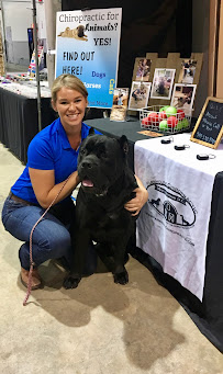 Farmhouse Chiropractic: Equestrian, Equine, K9 - Photo 7 - Car repair in Ocala, FL, Ocala