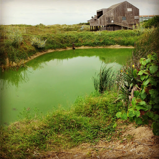 Beach Resort «Sandcastle Condominiums & Event Center», reviews and photos, 800 Sandcastle Dr, Port Aransas, TX 78373, USA