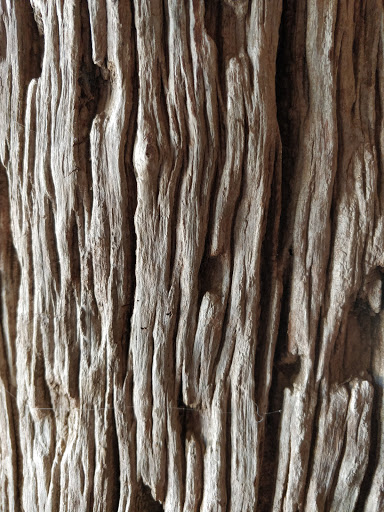 Nature Preserve «Cedar Ridge Preserve», reviews and photos, 7171 Mountain Creek Pkwy, Dallas, TX 75249, USA