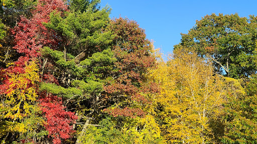 Tourist Attraction «Windham Rail Trail Parking», reviews and photos, 7 Depot Rd, Windham, NH 03087, USA