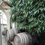 Photo n°6 de l'avis de Paulo.a fait le 15/07/2020 à 16:44 sur le  Solar O Rei dos Frangos à São Vicente Ferreira