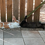 Photo n°3 de l'avis de Jennifer.. fait le 24/08/2022 à 20:37 sur le  Urlaubsreiterhof Trunk à Igersheim