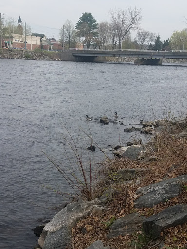 Supermarket «Price Chopper», reviews and photos, 251 Kennedy Dr, Putnam, CT 06260, USA