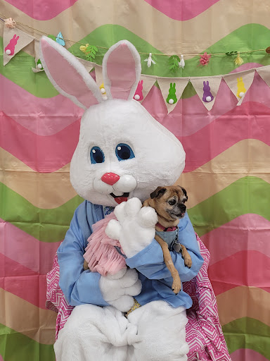 Pet Supply Store «PetSmart», reviews and photos, 5005 S 74th St, Greenfield, WI 53220, USA