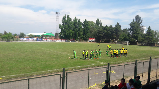 Estadio Municipal de Longaví - Campo de fútbol