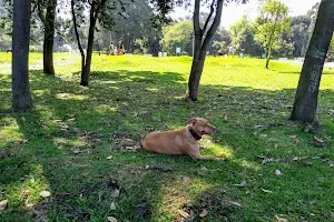 para perros Simón Bolívar Park image