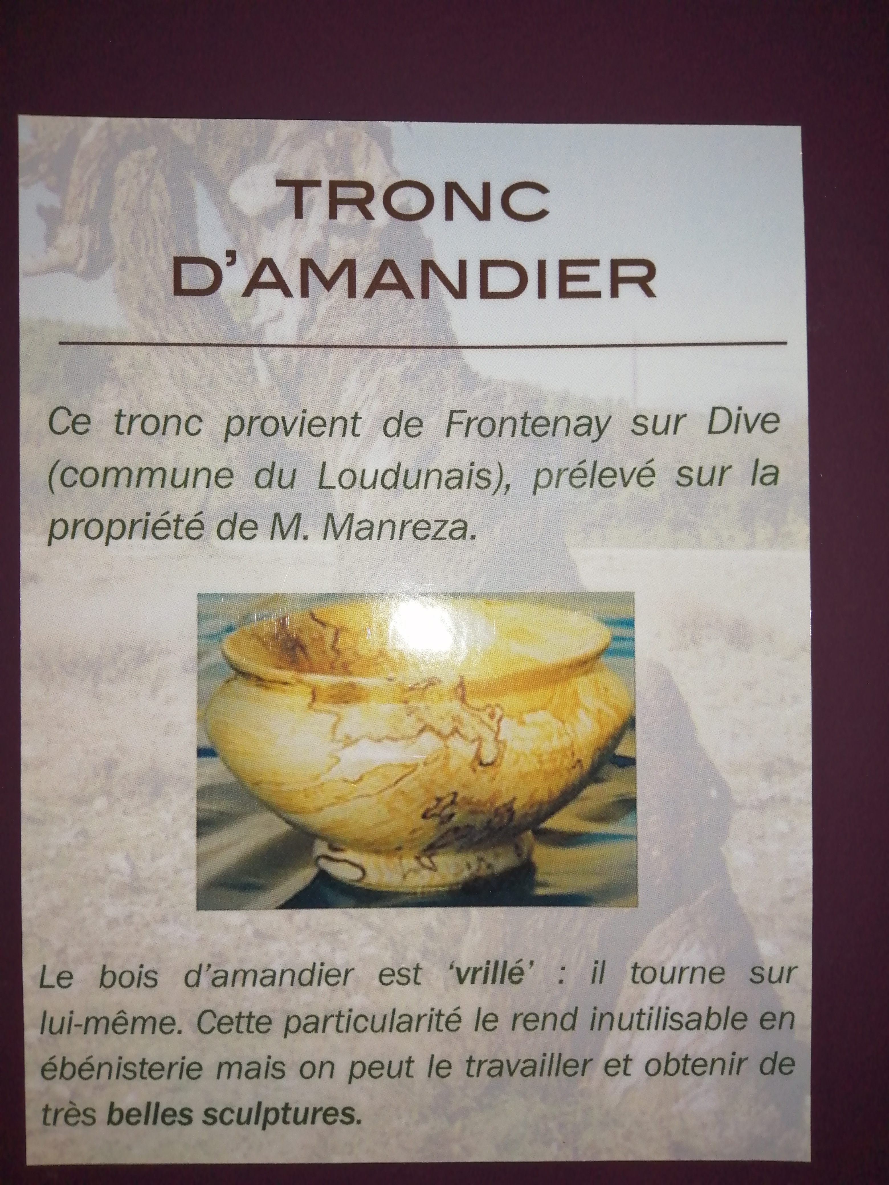 Photo n° 4 de l'avis de lysiane.e fait le 21/08/2020 à 13:55