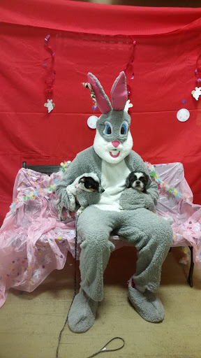 Pet Supply Store «PetSmart», reviews and photos, 1559 Merritt Blvd, Dundalk, MD 21222, USA