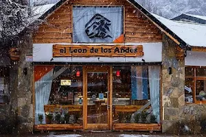 El Leon de los Andes image