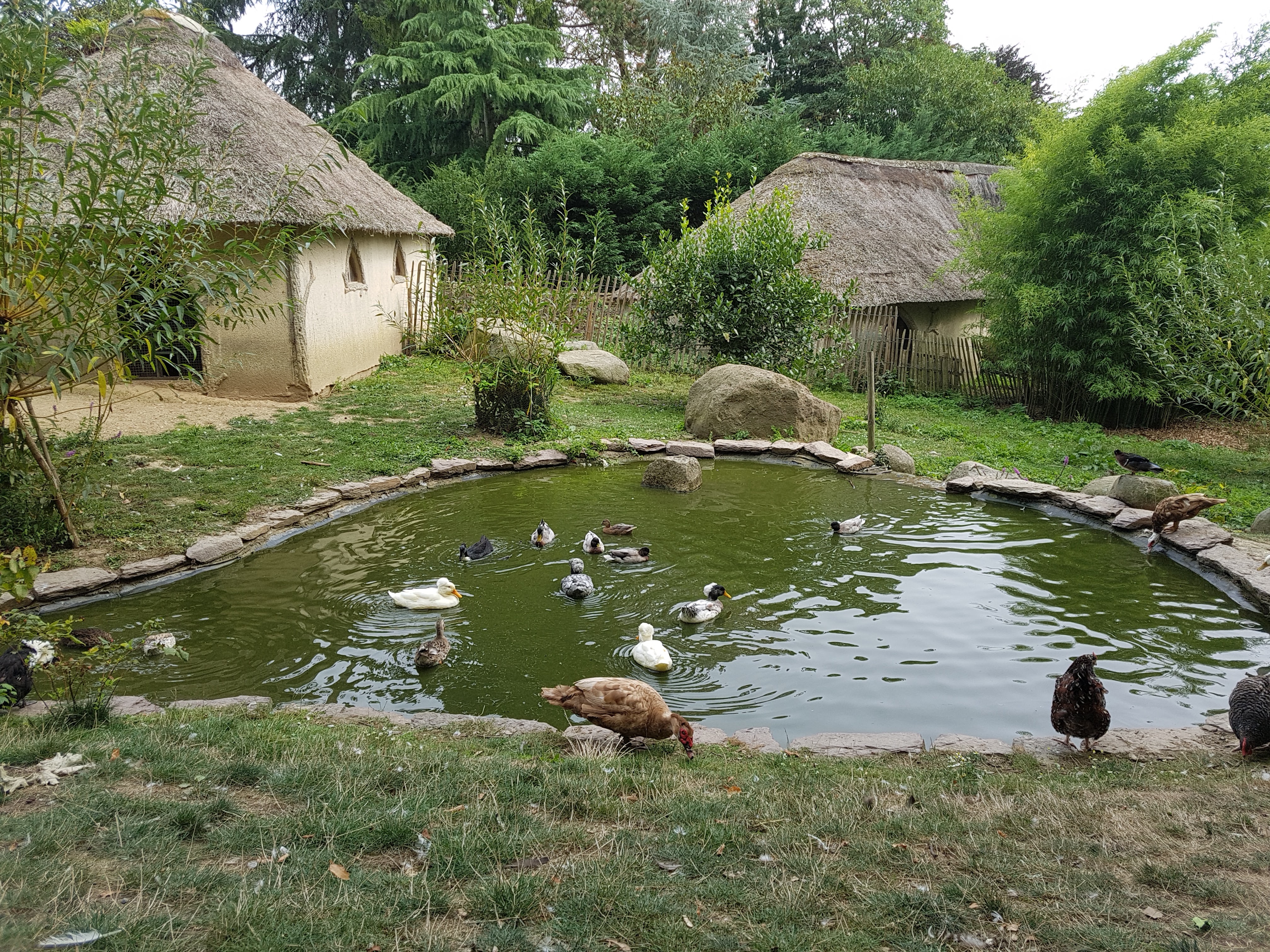 Photo n° 3 de l'avis de Yann. fait le 26/08/2017 à 14:19