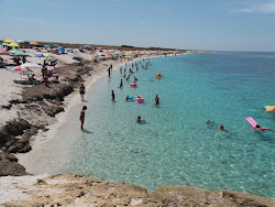 Spiaggia Corrighias'in fotoğrafı vahşi alan
