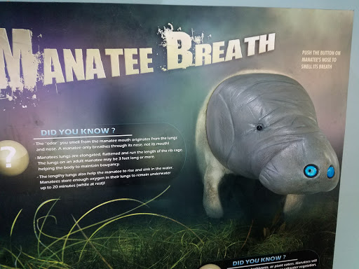 Nature Preserve «Manatee Viewing Center», reviews and photos, 6990 Dickman Rd, Apollo Beach, FL 33572, USA