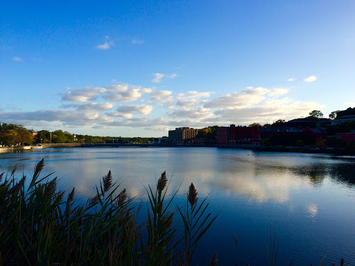 Clothing Store «Gap», reviews and photos, 125 Main St, Westport, CT 06880, USA