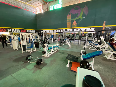 The Gold Gym II Tecomitl - Narciso Mendoza 29, Tecaxtitla, Milpa Alta, 12100 San Antonio Tecómitl, CDMX, Mexico