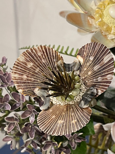 Museum «Bailey-Matthews Shell Museum», reviews and photos, 3075 Sanibel Captiva Rd, Sanibel, FL 33957, USA