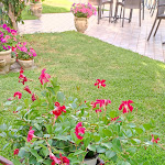 Photo n°4 de l'avis de Vita.i fait le 28/06/2022 à 20:17 sur le  Bar Jolly à Stalettì