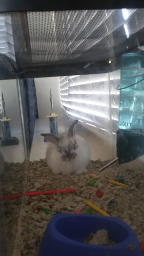 Pet Supply Store «Petco Animal Supplies», reviews and photos, 2722 N Josey Ln #107, Carrollton, TX 75007, USA