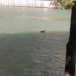 Photo n°1 de l'avis de Sergio.e fait le 07/07/2022 à 09:33 sur le  Hotel Due Laghi à Padergnone