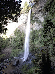 Los saltos de newenko