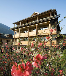 Photo n°67 de Best Western Chalet Les Saytels à Le Grand-Bornand ()