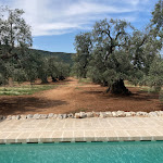 Photo n°15 de l'avis de Laura.a fait le 06/05/2022 à 11:54 sur le  Masseria Le Carrube à Ostuni