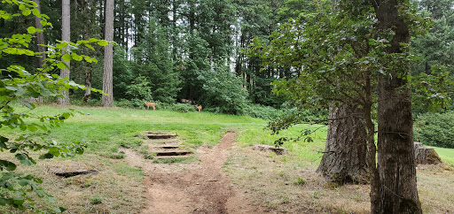 Golf Course «Diamond Woods Golf Course», reviews and photos, 96040 Territorial Rd, Monroe, OR 97456, USA