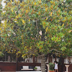 Photo n°13 de l'avis de simo. fait le 04/06/2022 à 17:41 sur le  Casa Di Campo à Foggia