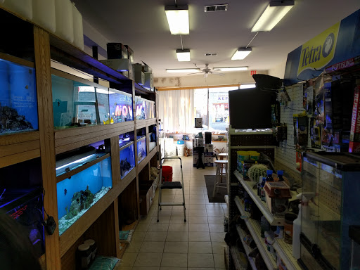 Tropical Fish Store «Ocean Design Aquarium», reviews and photos, 7542 W Addison St, Chicago, IL 60634, USA