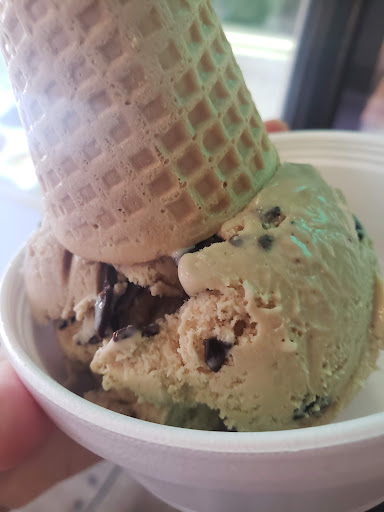 Ice Cream Shop «Chocolate Iguana On 4th», reviews and photos, 500 N 4th Ave #1, Tucson, AZ 85705, USA