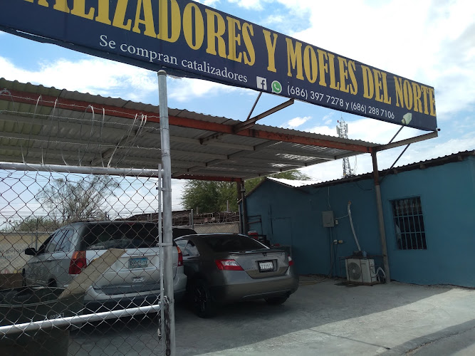 Catalizadores del Norte