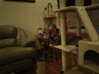 Accurate Computer Services, Repair & DATA Recovery - Photo 2 - Car repair in , Elgin