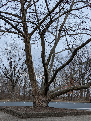 Tourist Attraction «Caesar Creek Visitor Center», reviews and photos, 4020 N Clarksville Rd, Waynesville, OH 45068, USA