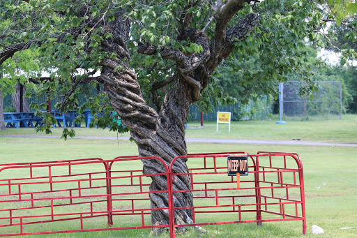 Amusement Park «Sandy Lake Amusement Park», reviews and photos, 1800 Sandy Lake Rd, Carrollton, TX 75006, USA