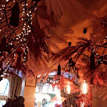 Photo n°1 de l'avis de Francesca.a fait le 09/12/2020 à 12:10 sur le  Danieli à Bassano del Grappa