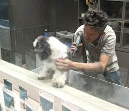 BARK Pet @ Como Park, Kemang photo